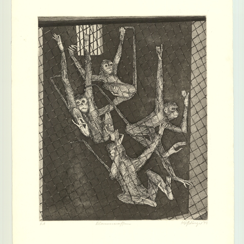 Klammeraffen, R 1973, 297x361




